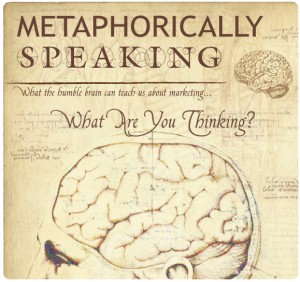 Metaphorically Speaking brain image